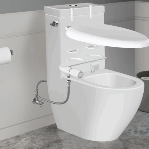 Toilet Bidet
