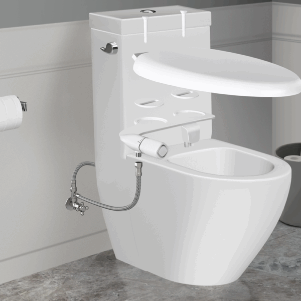 Toilet Bidet